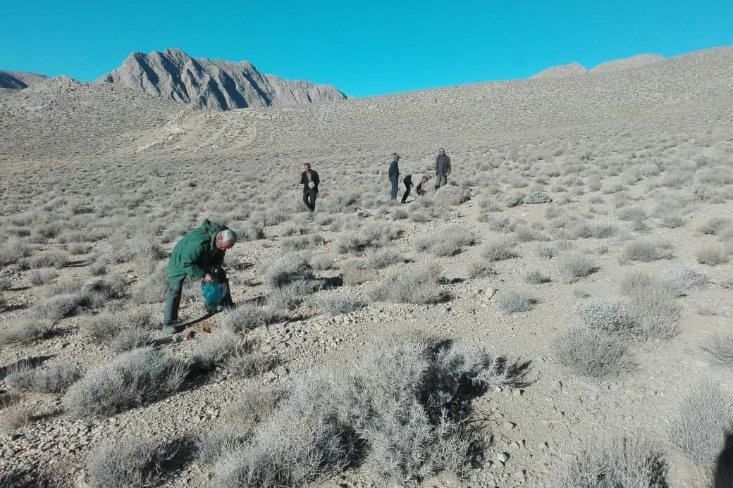 قرارسبز در شهر مشکان استان فارس