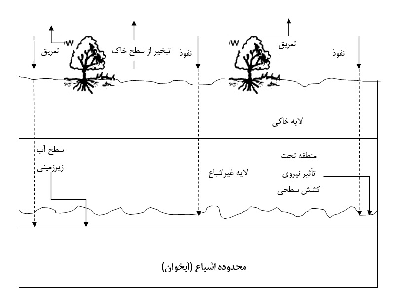 نفوذ مستقیم آب