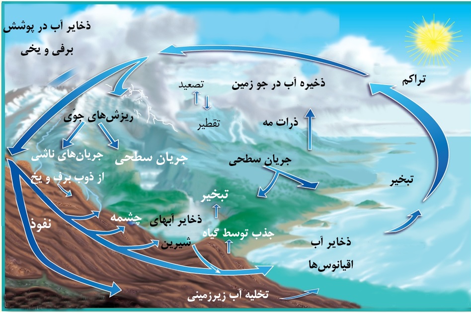 شکل پیچیده‌تر چرخه آب