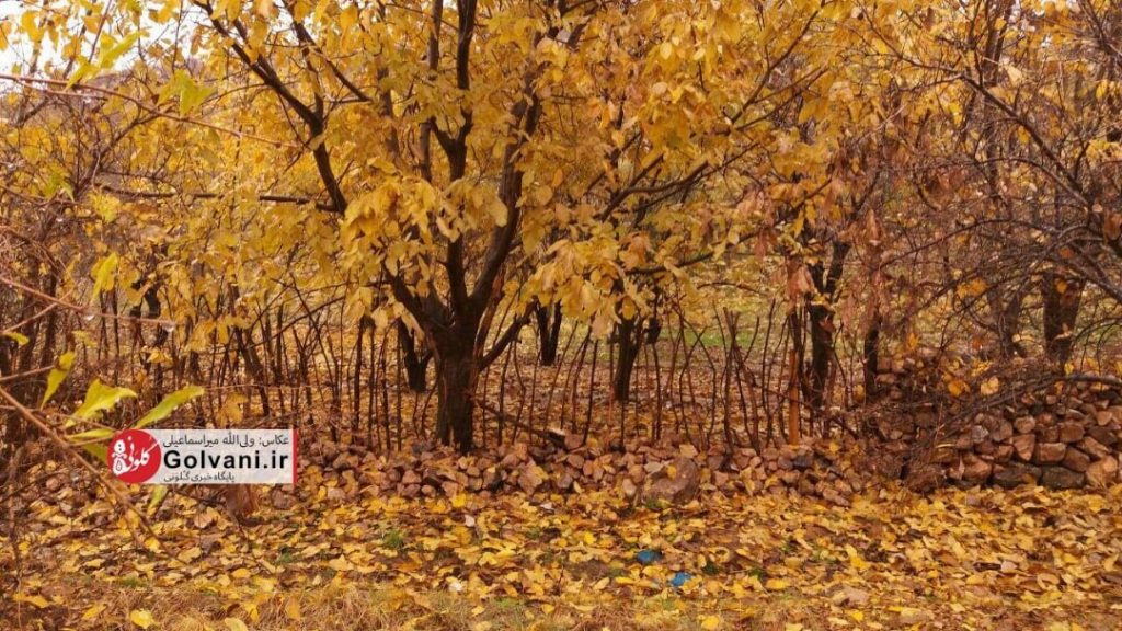 روستای گوشه شهنشاه خرم آباد در فصل پائیز