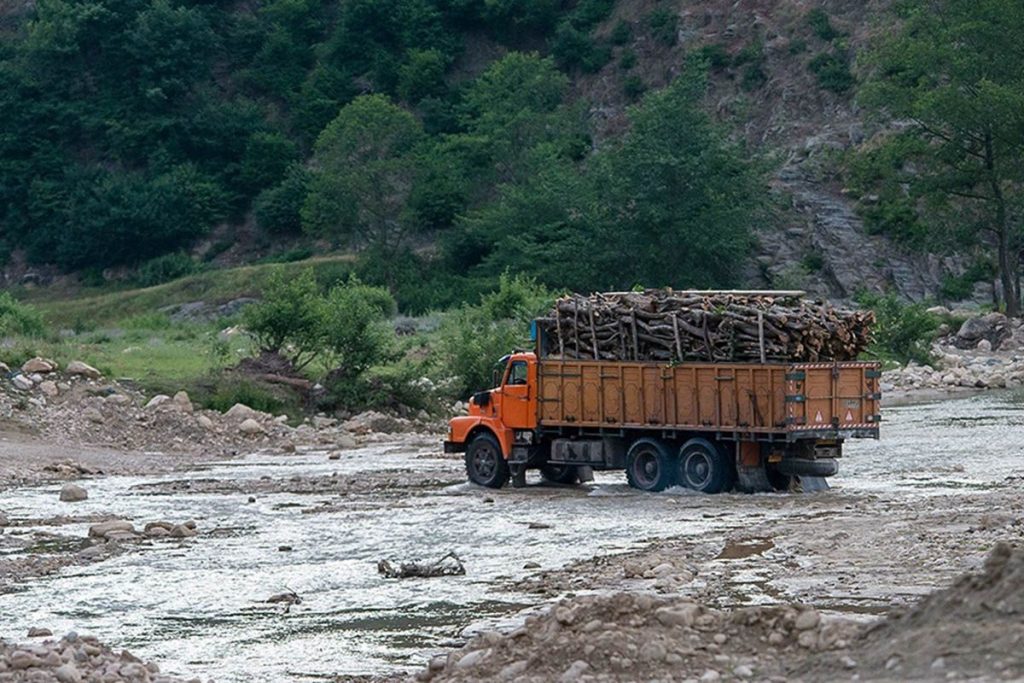 چوب دزدها سر و کله‌شان در جنگل‌ها و مراتع استان لرستان پیدا شده است