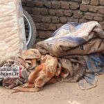 سیل در معمولان لرستان