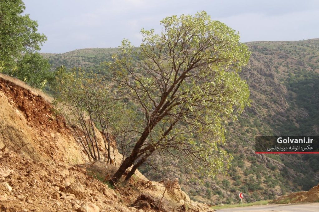 رانش زمین در نقاط مختلف استان لرستان