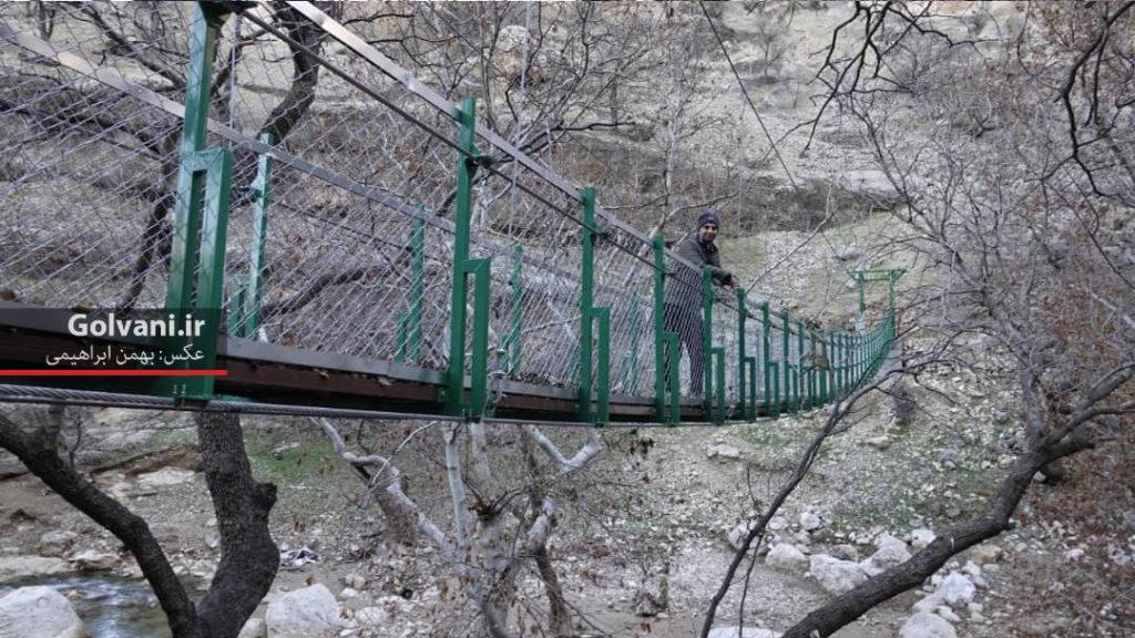 تنگه شیرز کوهدشت زخمی شد