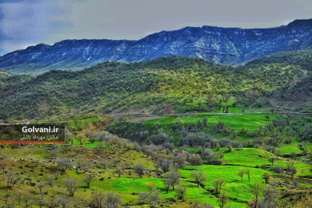 معمولان