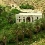 تنگه شیرینه بوشهر قبل از آتشسوزی