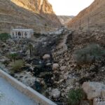 مردم دشتی آتش را خاموش کردند