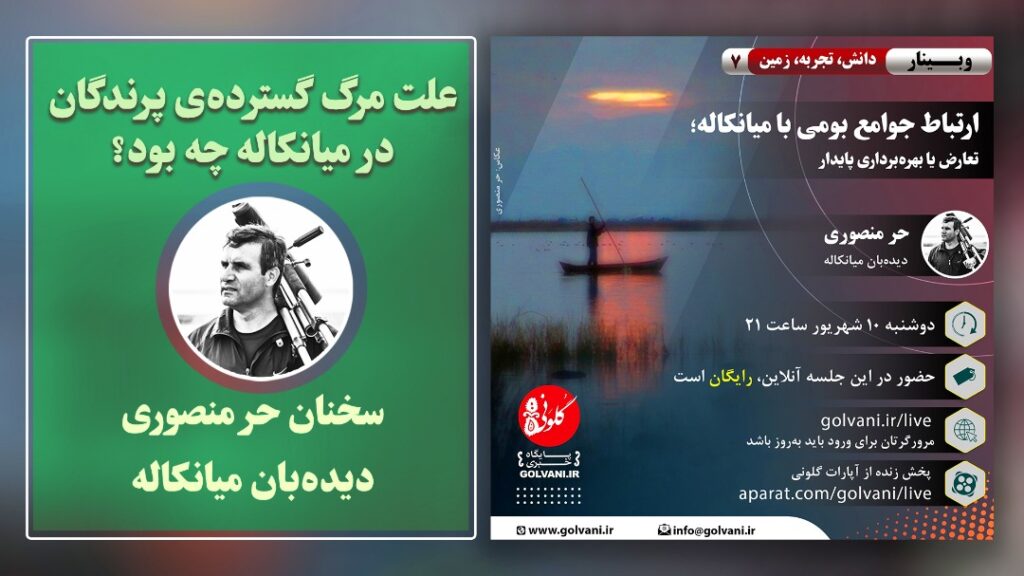 علت مرگ پرندگان تالاب میانکاله را بدانید؛ حر منصوری گزارش می‌دهد