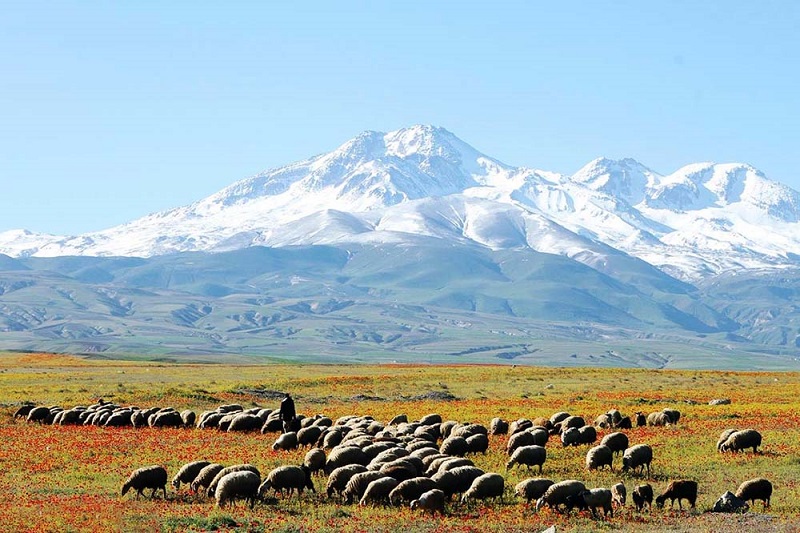 اکوسیستم کوهستان باعث بقای انسان است