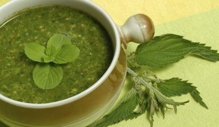 آش گزنه مازندران