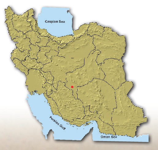 زیستگاه، پراکندگی و فراوانی جربیل کوتوله