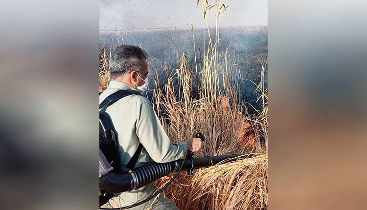 مهار آتش سوزی در پارک ملی دریاچه ارومیه