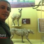 بازدید موزه کنیا