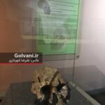 برای دیدن تصاویر بیشتر ورق بزنید