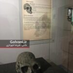 بازدید موزه ملی کنیا