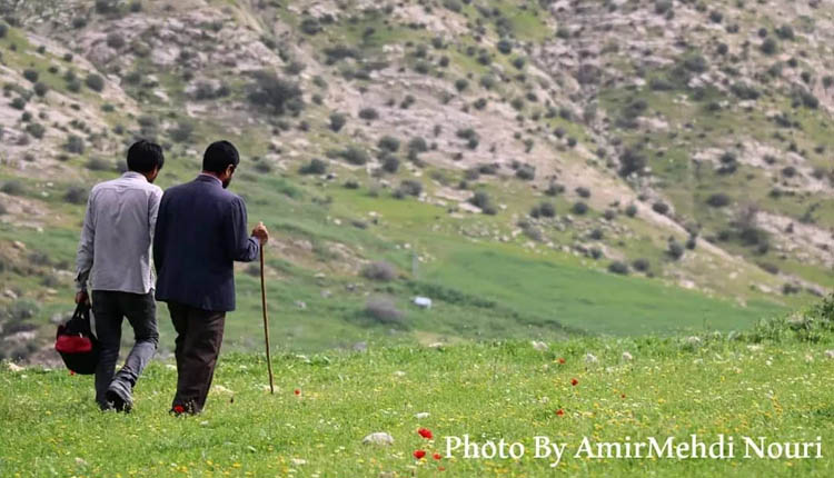 فیلم سینمایی درب به زودی آماده نمایش می‌شود