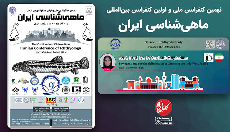 آشنایی با سنگسر ماهیان خلیج فارس و دریای عمان