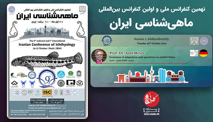 سازگاری و گونه زایی در سیچلایدها