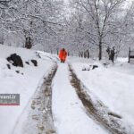برای دیدن تصاویر بیشتر ورق بزنید