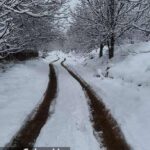 مسیرهای برفی