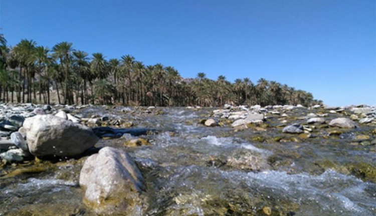 درخواست عدم احداث سد در بخش دامن در سیستان و بلوچستان