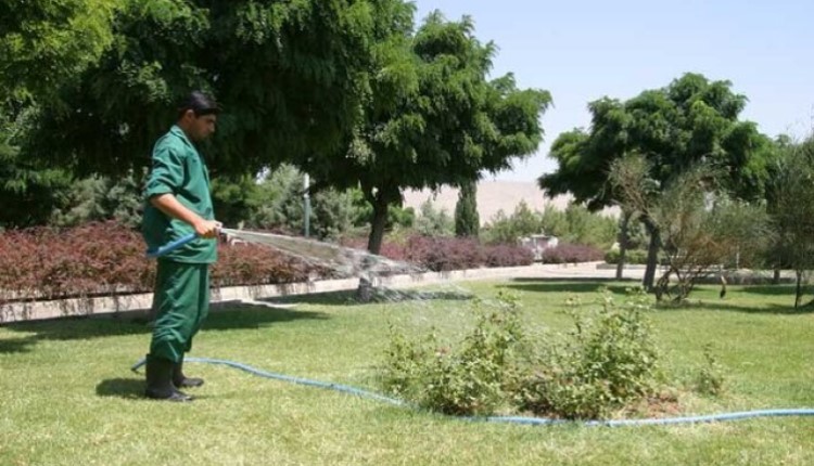 درخواست آبیاری درختان و رسیدگی به فضای سبز اهواز