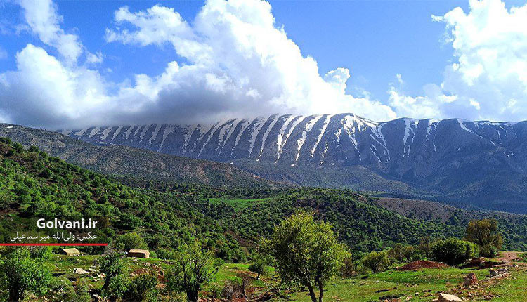 جلوه‌گری بهار