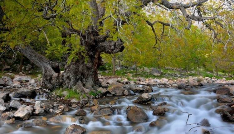 ایجاد آبخوری و محوطه سازی در مسیر گردشگری کهمان لرستان