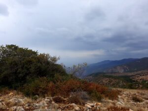 تماشای گاوبانگی در قلب پارک ملی گلستان
