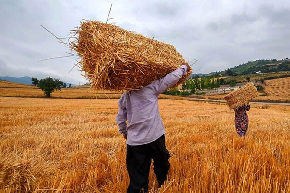 کارزار اعتراض به خاموشی چاه‌های کشاورزی شهرستان بهاباد یزد