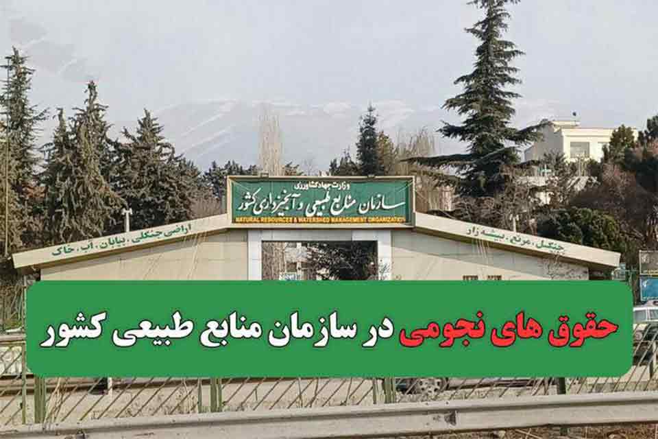 درخواست رسیدگی به فیش های نجومی مسئولین در سازمان منابع طبیعی و اصلاح حقوق جنگلبانان