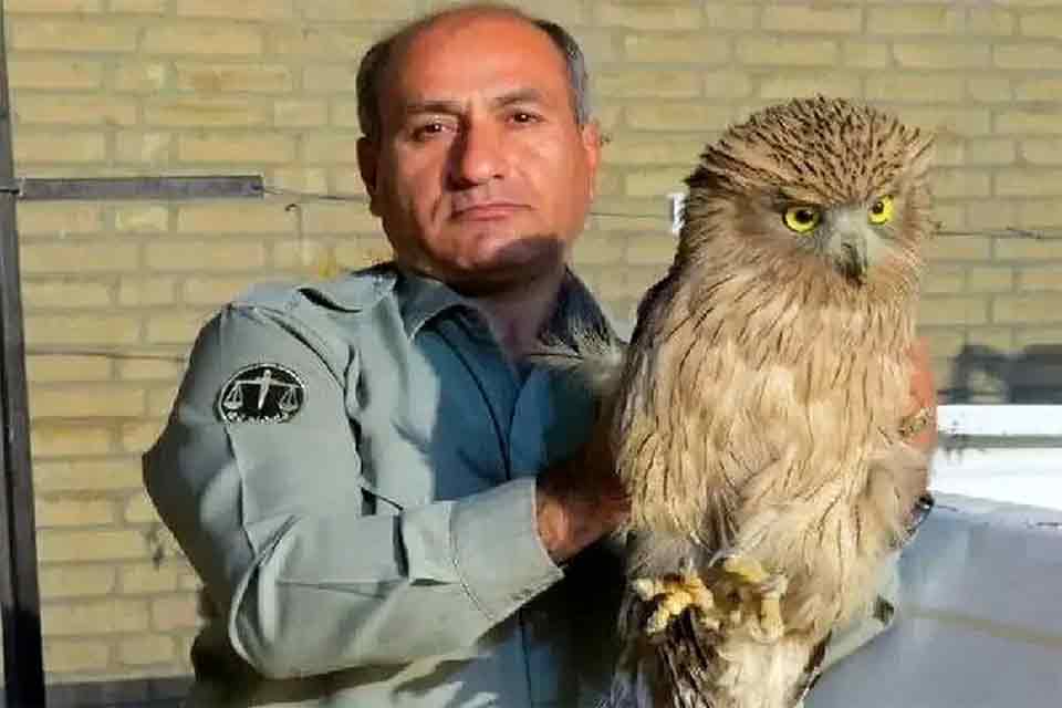 شهادت تلخ هدایت الله دیده بان در راه حفاظت از طبیعت