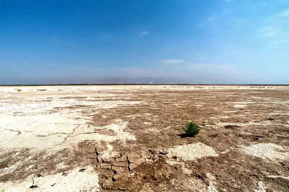 از تالاب صالحیه تا تهران