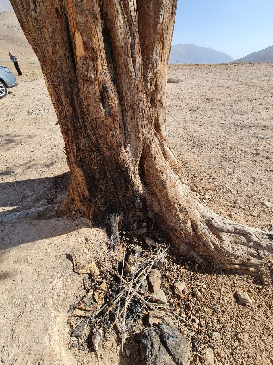 ردپای آتش