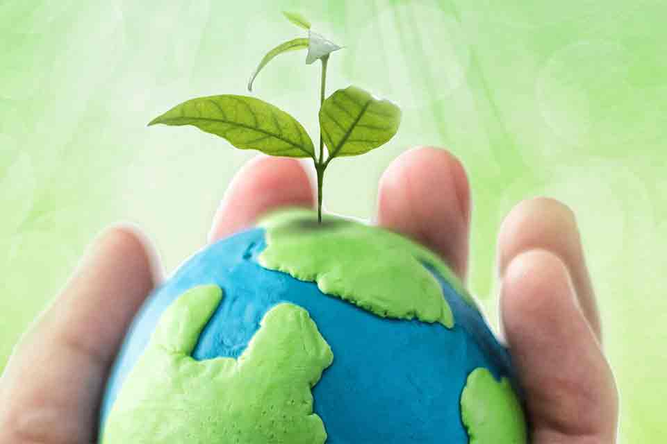 چرا باید برای طبیعت ارزش قائل شد؟