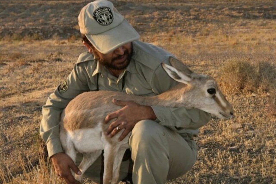 محیطبانان در خط مقدم اما با کمترین پشتیبانی