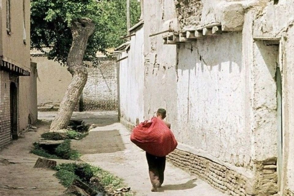 تارهایی که از خاک جدا شدند