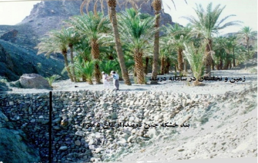 نمونههایی از سامانه دربند در آبادی مهند چانف با درختان نخل چند ده ساله