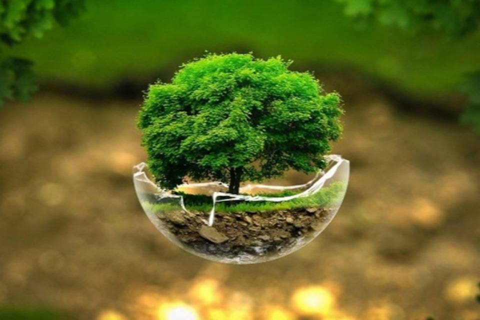 باکو میزبان روز جهانی محیط زیست 2026؛ تمرکز جهان بر اقدام اقلیمی