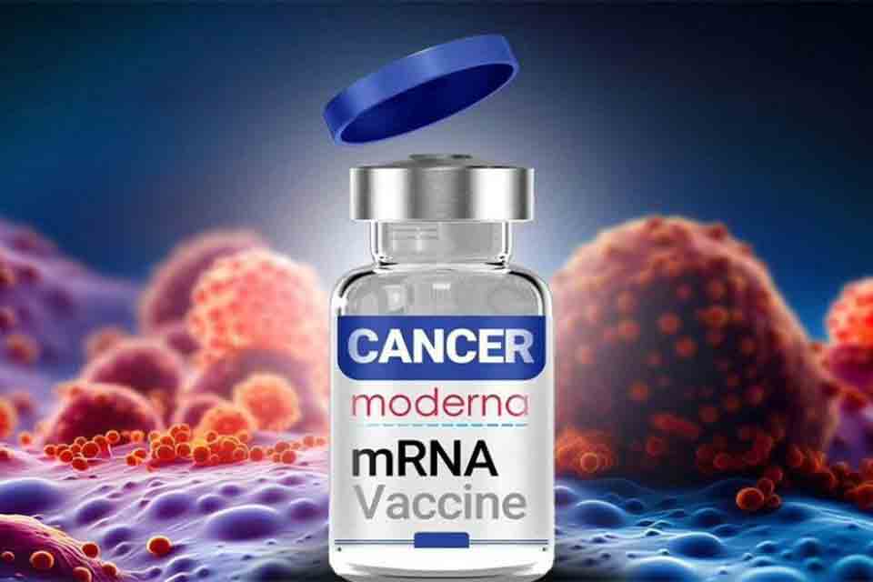 گام نخست محققان ایرانی برای توسعه واکسن mRNA علیه سرطان پستان