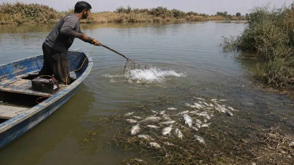 صید با الکتروشوک در خوزستان