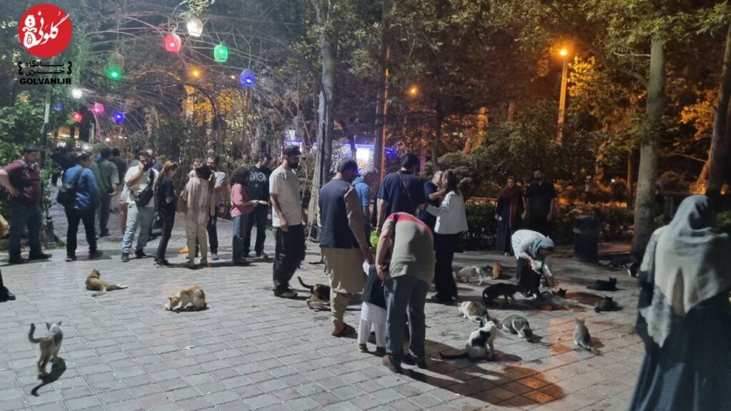 گربه‌های آزادگرد پارک لاله