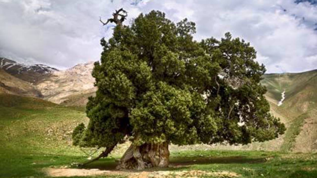 ارتقای سطح حفاظتی مناطق البرز