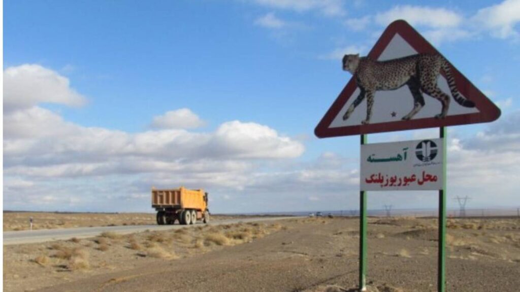 از زخم ماریتا تا چشم‌های پیروز