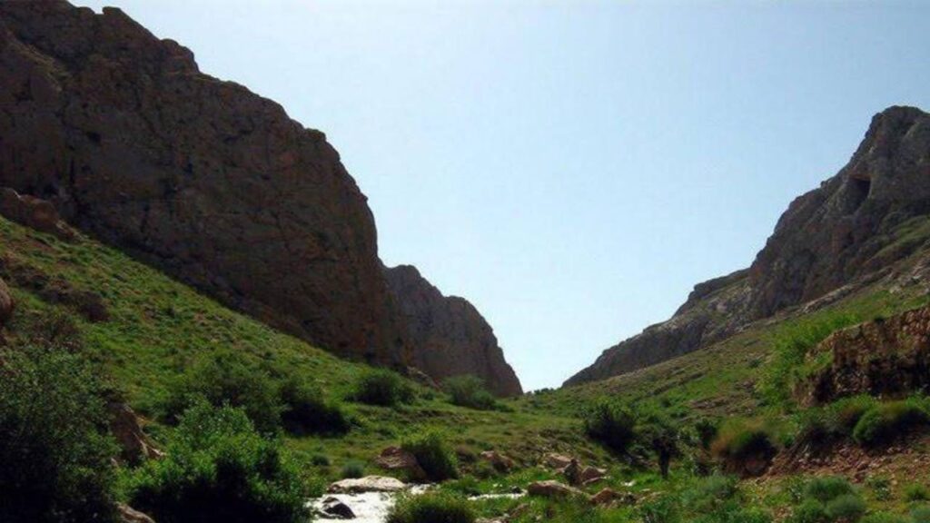 زیستگاه ازناو خلخال در مسیر تبدیل شدن به پناهگاه حیات وحش