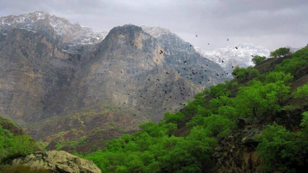 مناطق حفاظت‌شده ایران به ۴۵ میلیون هکتار رسید؛ دو درصد تا هدف جهانی ۳۰ در ۳۰
